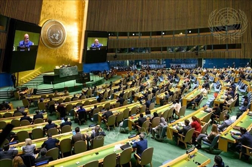 Đại hội đồng Liên hợp quốc bầu Hội đồng Nhân quyền nhiệm kỳ 2024-2026